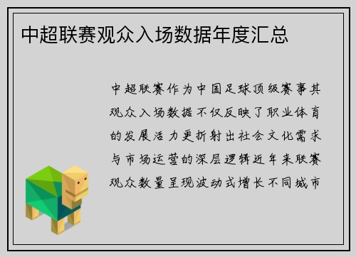 中超联赛观众入场数据年度汇总